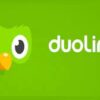 Tải Duolingou Apk: App học tiếng Anh miễn phí cho Android, IOS