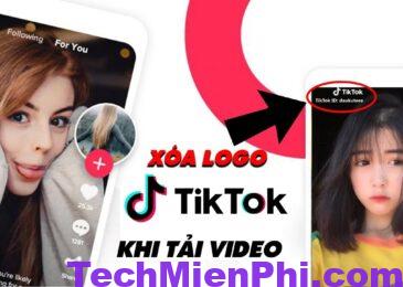Cách tải video TikTok không Logo trên Android, IPhone