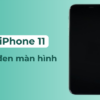 Màn Hình iPhone 11 Bị Đen Và Cách Khắc Phục Từ A Tới Z