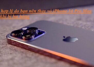 Tìm hiểu lý do bạn nên thay vỏ iPhone 14 Pro Max ngay khi bị hư hỏng